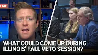 What could come up during Illinois' fall veto session?