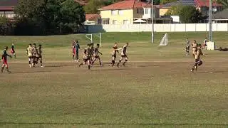 Great goal leaves one spectator very mad