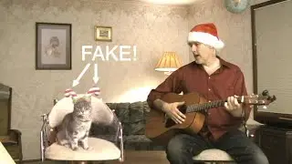 Holiday Cheer with Ashley Foster Kitty