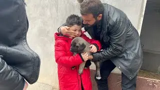 BİRAZ TATLI TARTIŞMALI KANGAL YAVRUSU VERDİK