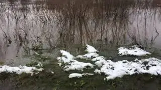 Новгородская область,потоп