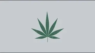 Forsøgsordning med medicinsk cannabis