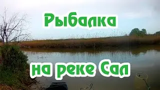 Рыбалка на фидер / Река Сал / Ловля Карася / Ловя голавля / Разнорыбица / Фидер / Карась Лещ /