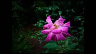 before click | after editing