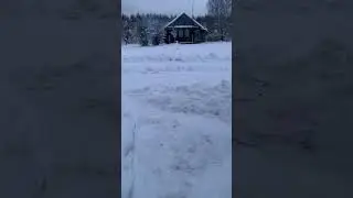 Петарда Bad bulldog 🧨🐕