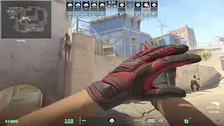 NiKo (15-14) vs SPIRIT — BLAST PREMIER WORLD FINAL 2024 CS2 POV