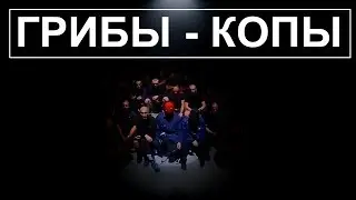 ГРИБЫ - КОПЫ (Клип HD 1080)