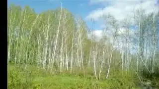 Весна 2017!!!