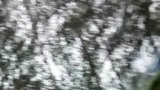 Лоол