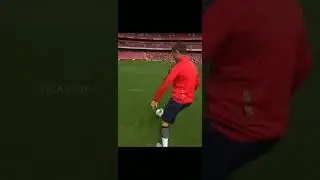 ١ فبراير ٢٠٢٤