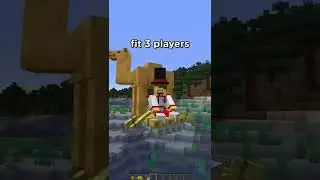 Minecraft Boats are SUPER BROKEN