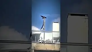 crow remove Israel flag