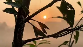 গ্রাম বাংলার শীতের সকাল