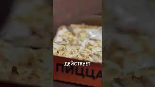 А Додо Пицца халяль? 