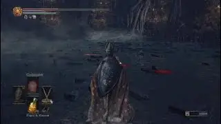 Solando o Pau Brasil |DARK SOULS™ III