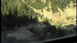 Wilbur's Travels Redwood Forest Thru San Francisco Part 2