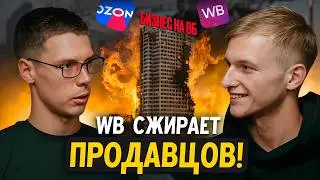 Бизнес упал в 15 РАЗ! И это только начало... Какая стратегия на маркетплейсах работает