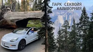 Секвойя парк | Калифорния на тесле