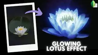 Glowing lotus effect in snapseed | snapseed glow effect | snapseed photo editing glowing effect