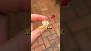 I Tried Mastic Gum