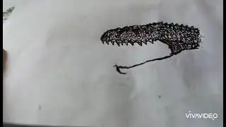 Iguana Giganotosaurus Timelapse