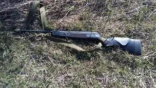 Охота с пневматикой на сорок и ворон