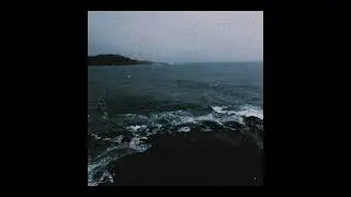 lavenderhearts - our last moments together
