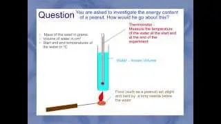 IGCSE. 2.8  Aerobic respiration