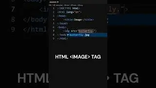 Insert image in HTML ｜ Html Image Tag 