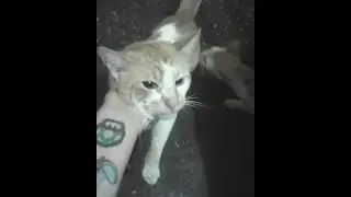 Prueba