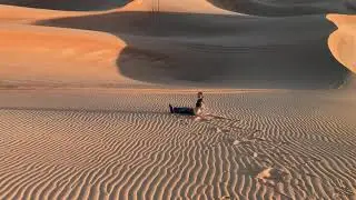 Desert fun in Dubai