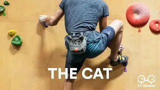 YY I CAT I EN