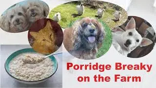 Porridge Breaky at the Farm