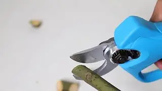 Акумуляторний секатор TITAN SC-8603. Огляд акумуляторного секатора