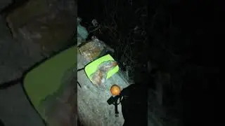 Как правильно бухать когда у тебя ничего нет