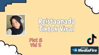 Reistaanada Tiktok Viral Full Album | Stickman  Warriors