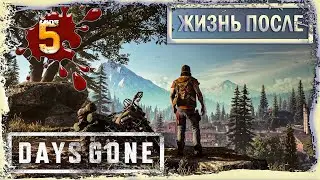 DAYS GONE – ПРОХОЖДЕНИЕ ИГРЫ➤«ПОРА В ДОРОГУ➤