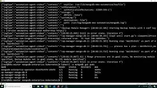 Deploy mongodb operators manager reosurce in cluster kubernetes example