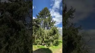 Русь в Великом Новгороде!🤯🔥