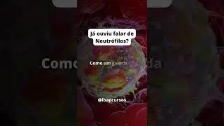 O que são neutrófilos? #reels #shorts #imunolgia
