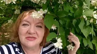 💫14 червня 2023 р.С Днем Блогера, ДРУЗІ! Привітання від @tvbilatserkvaua2282 та @tarot7777