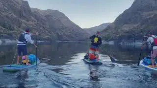 Lower Salmon River Paddle Boarding