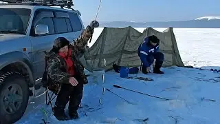 Fishing trip to De Kastri. 18 - 25.01.2020. Part 3. Nevelskoy Strait. Smelt, dentex.