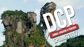 DCP Spring 2017 | Animal Kingdom and Pandora