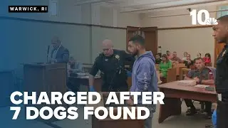 Warwick man charged with animal cruelty after disturbing discovery of 7 dogs in home