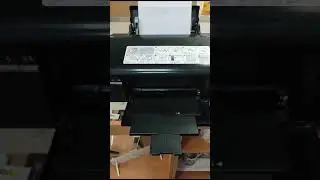 Epson L800