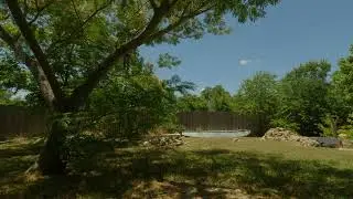 Afternoon in Suburban Backyard | 2.5 Hours of Summer Ambience | No Loop