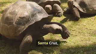 25 Greatest Natural Wonders of the World 2024 edition.