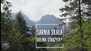 Sarnia Skała - łatwy szlak w Tatrach z Doliny Strążyskiej. [8.07.2024]