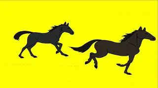 Horse Running with Green Screen footage many types and colors